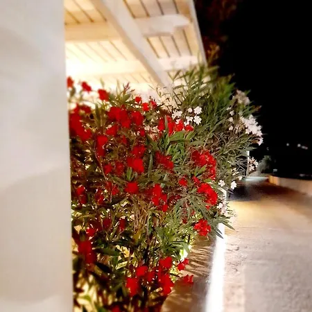 فندق Maroulis ميكري فيغلا