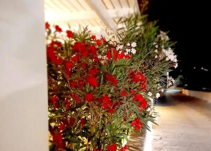 Otel Maroulis Mikri Vigla