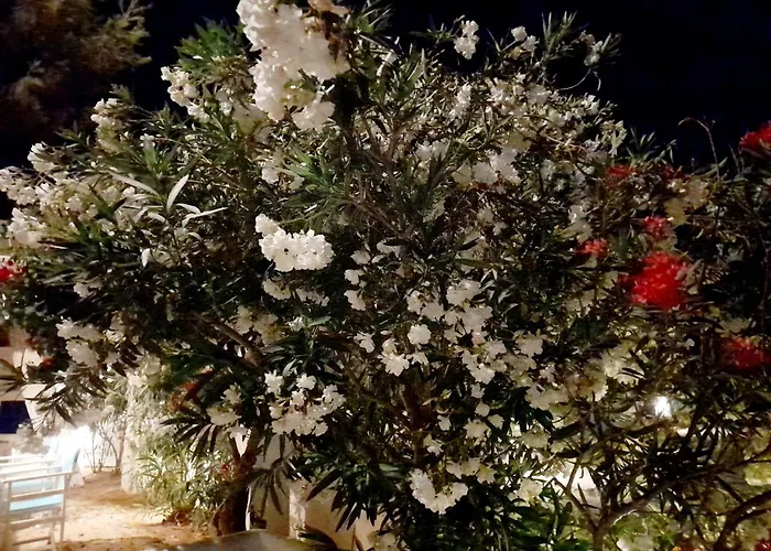 Maroulis Hotel Mikri Vigla